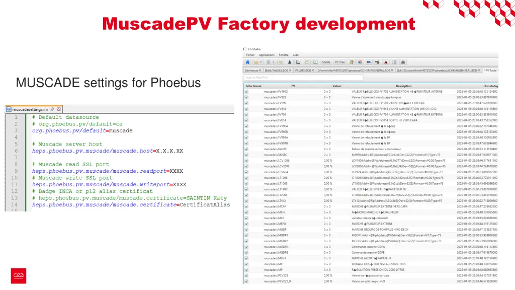 muscadepv factory development