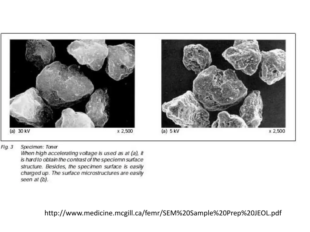 http www medicine mcgill ca femr sem 20sample 1