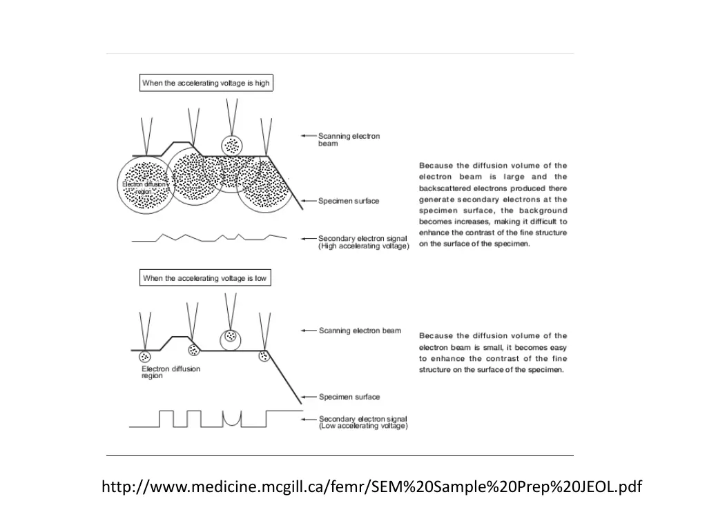 http www medicine mcgill ca femr sem 20sample