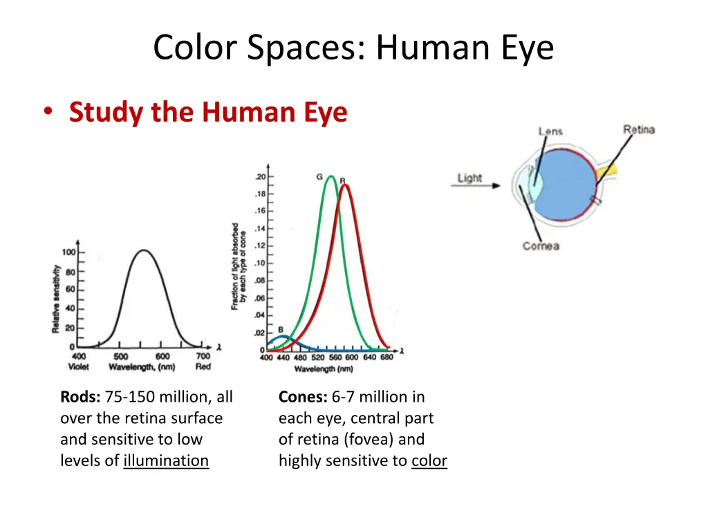 color spaces human eye