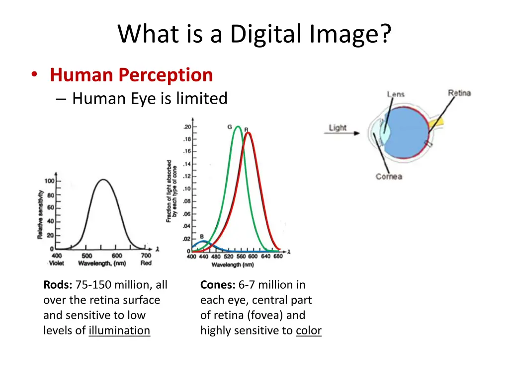 what is a digital image 1