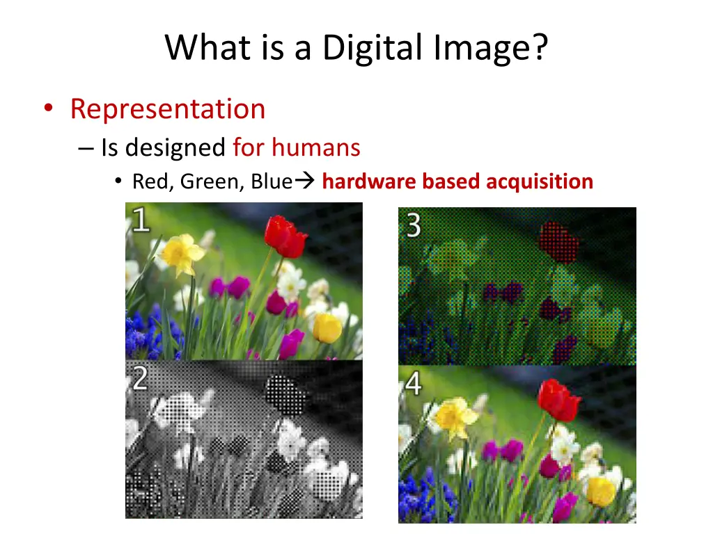 what is a digital image 3
