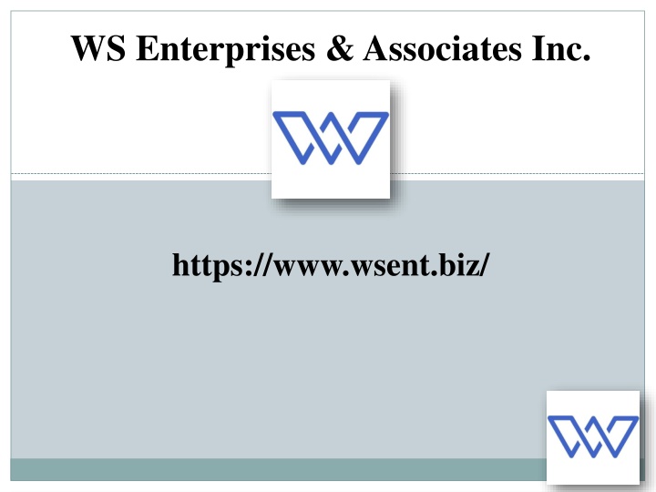 ws enterprises associates inc