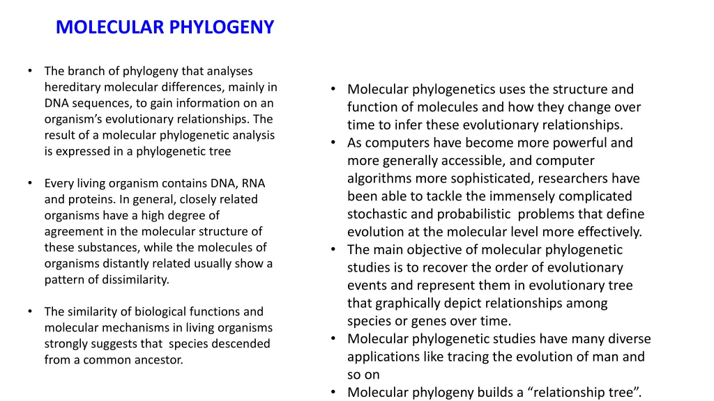 molecular phylogeny