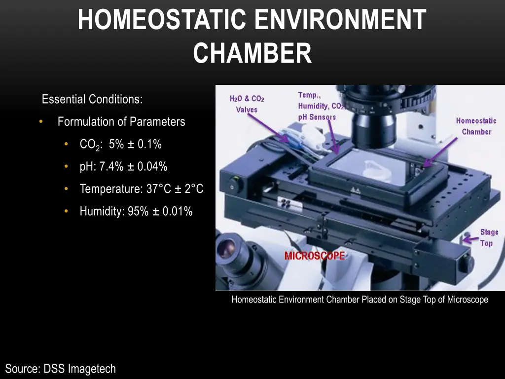 homeostatic environment chamber