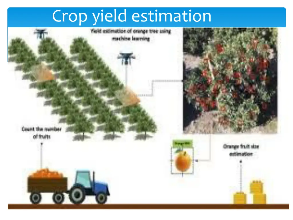 crop yield estimation