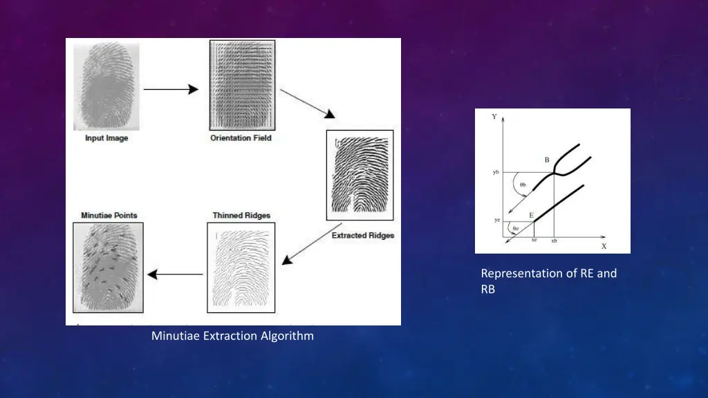representation of re and rb