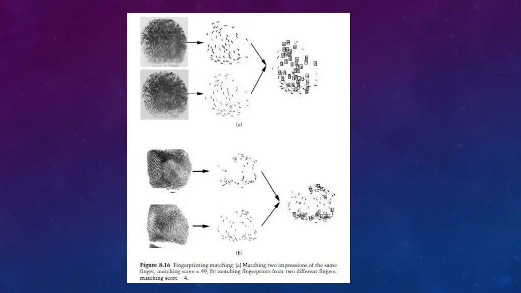 slide16