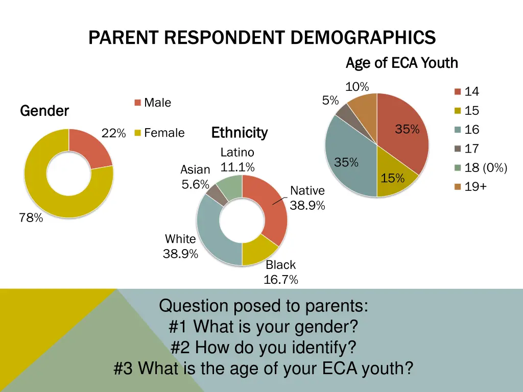 parent respondent demographics
