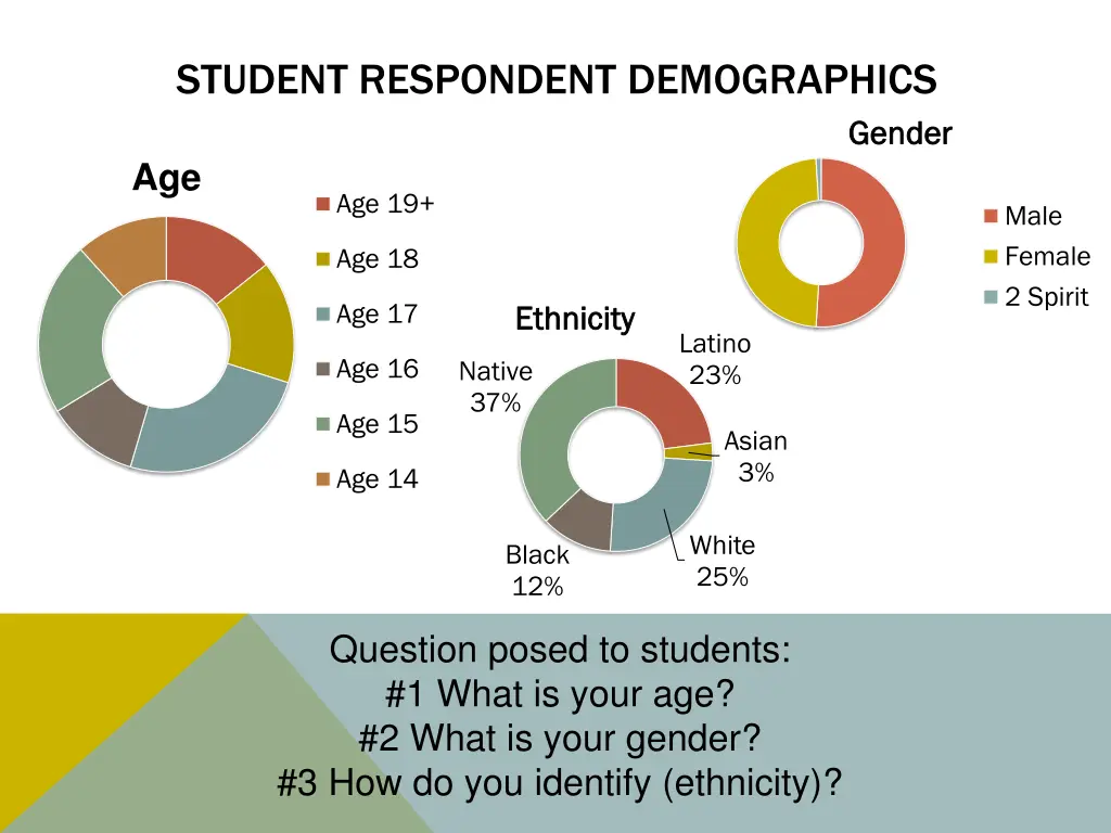 student respondent demographics