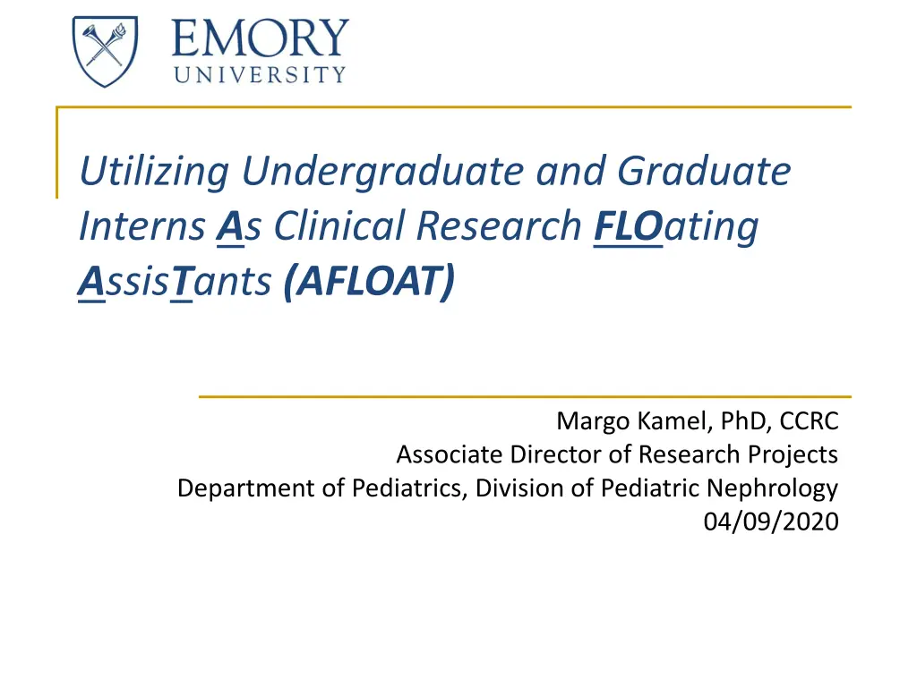 utilizing undergraduate and graduate interns
