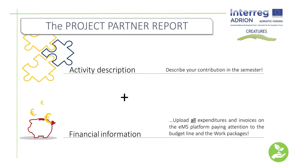 the project partner report