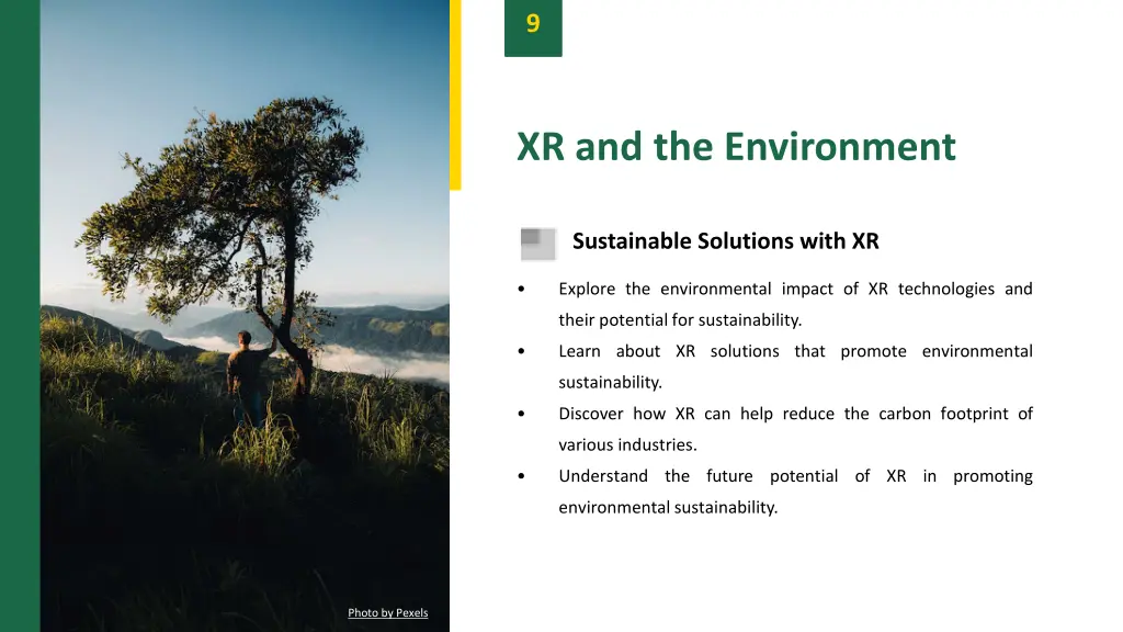 slide11