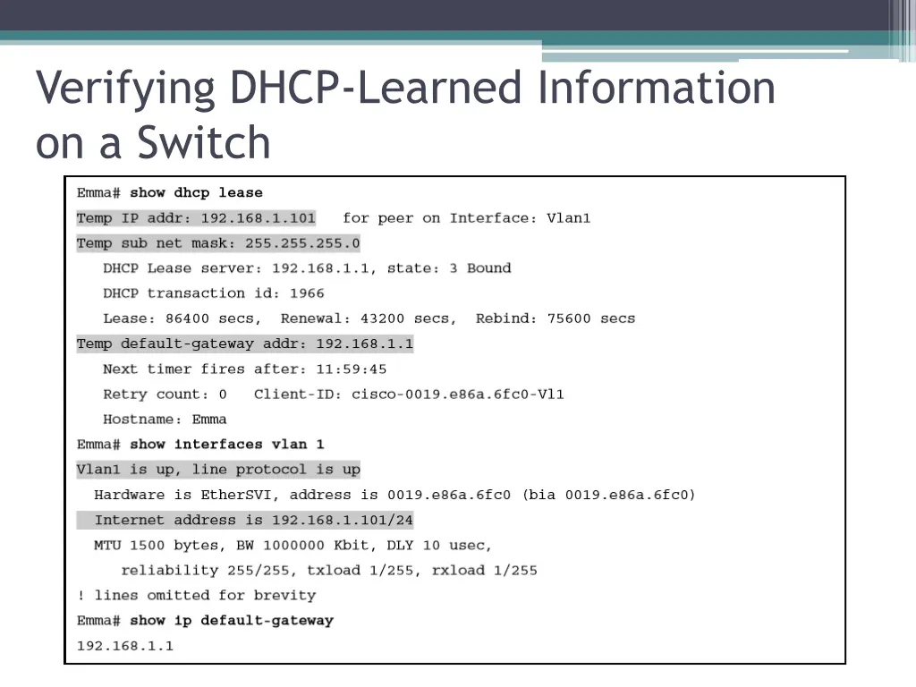verifying dhcp learned information on a switch