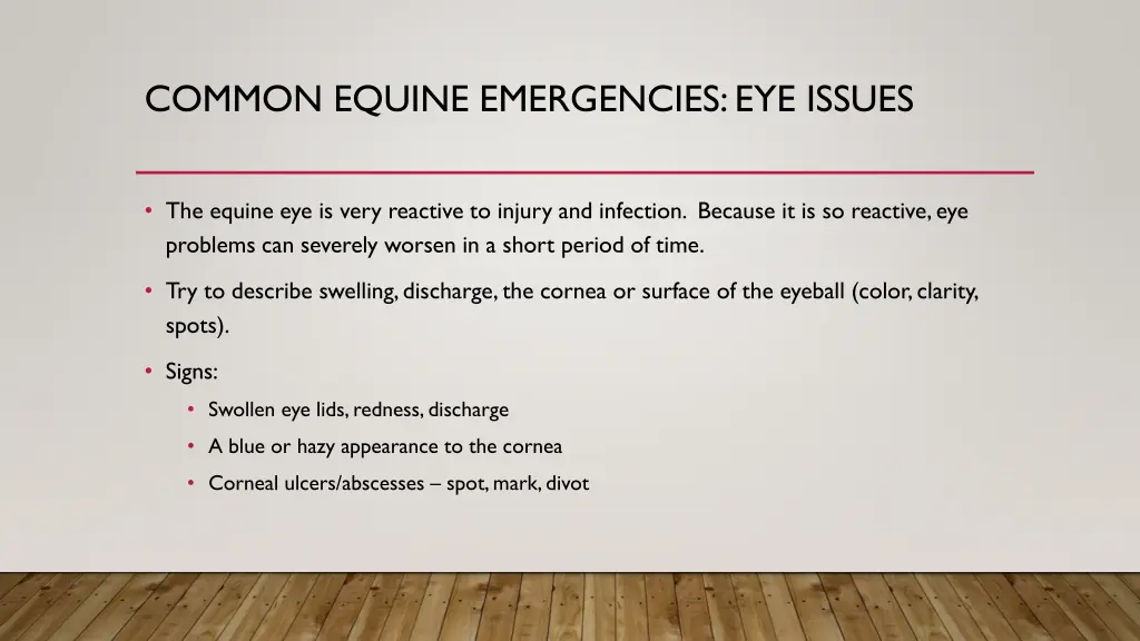 common equine emergencies eye issues