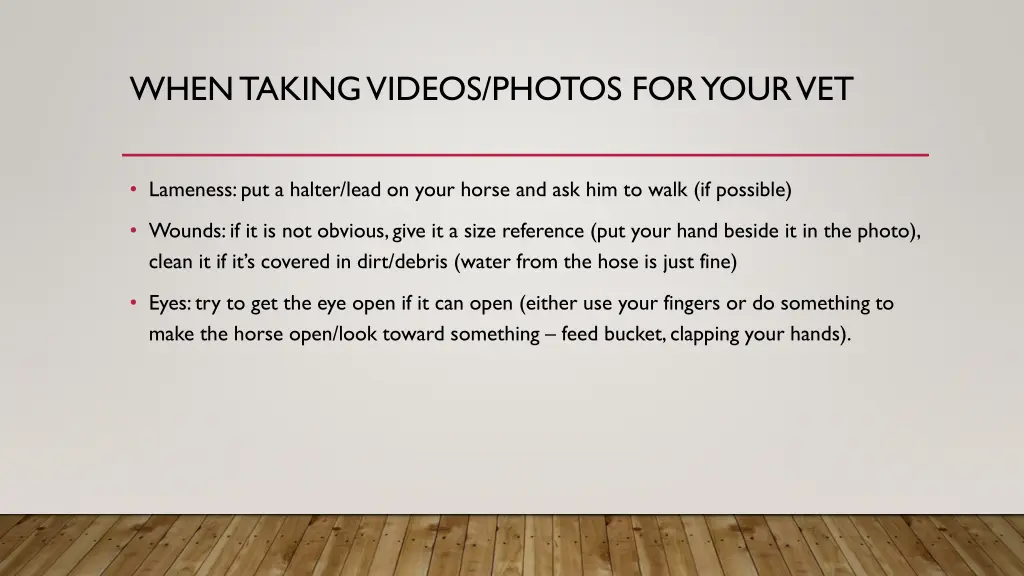 when taking videos photos for your vet