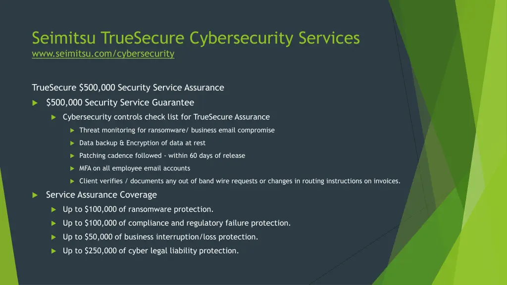 seimitsu truesecure cybersecurity services 1