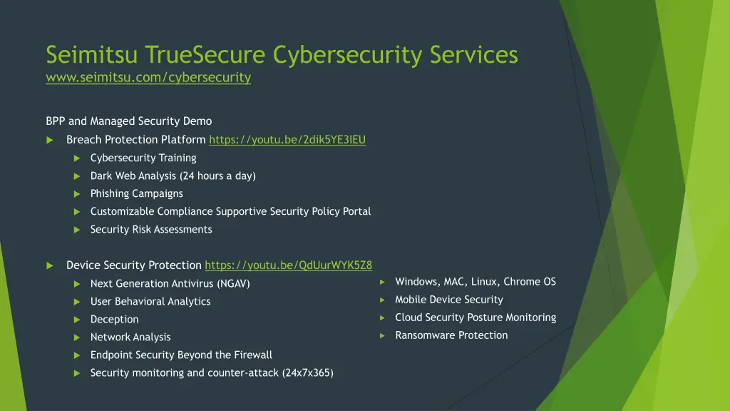 seimitsu truesecure cybersecurity services