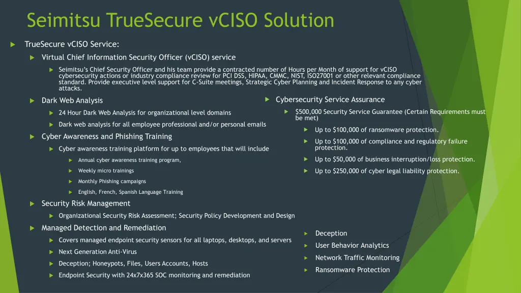 seimitsu truesecure vciso solution