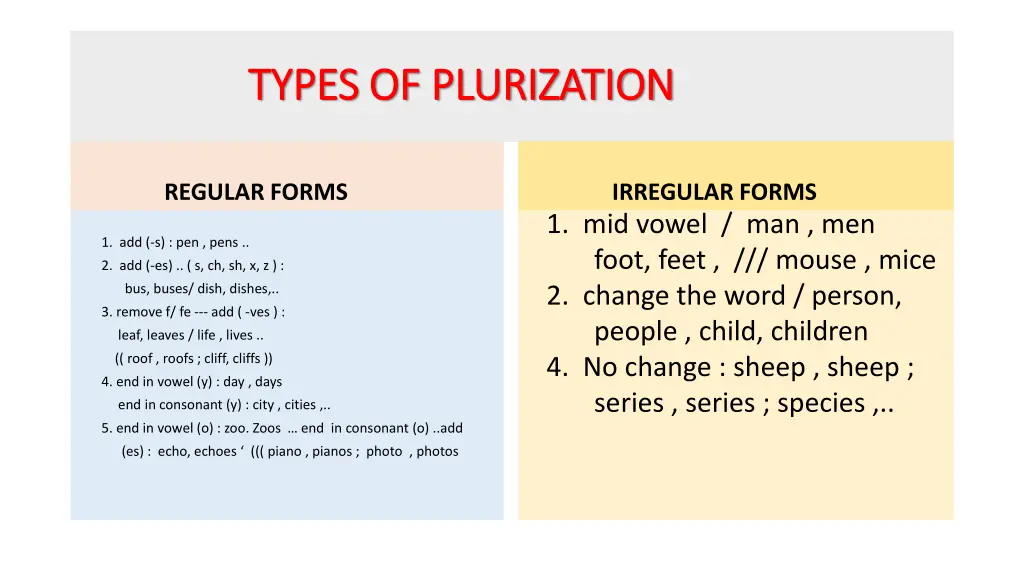 types of plurization types of plurization