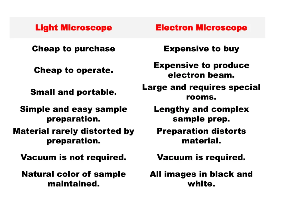 light microscope light microscope