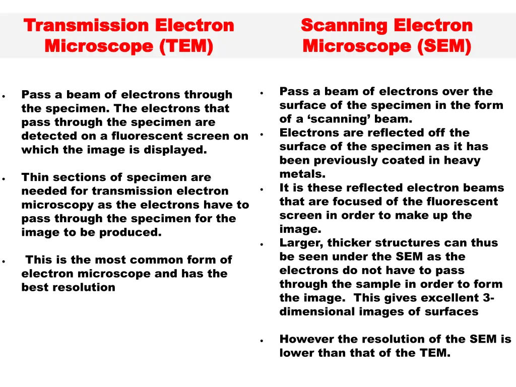 transmission electron transmission electron
