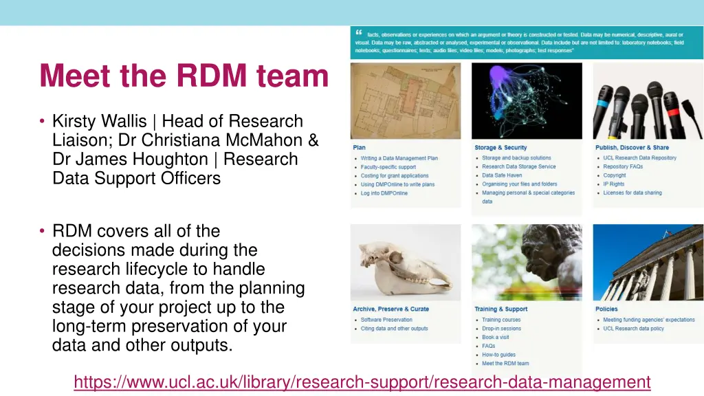 meet the rdm team