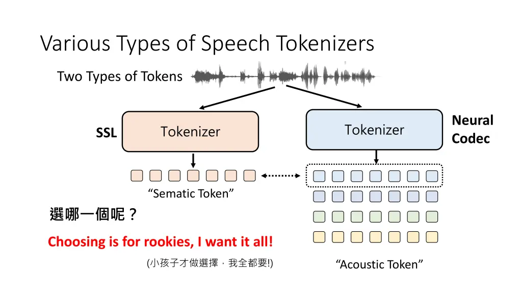 various types of speech tokenizers 1
