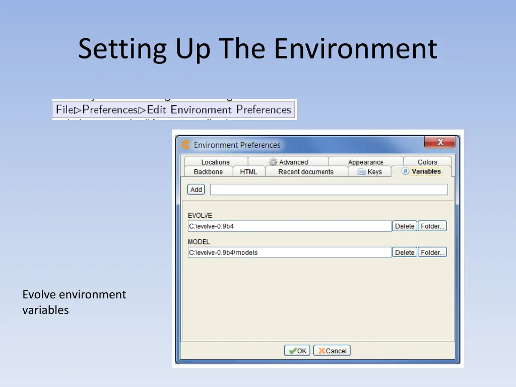 setting up the environment
