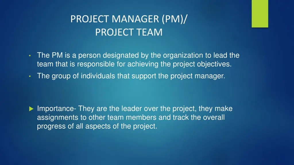 project manager pm project team
