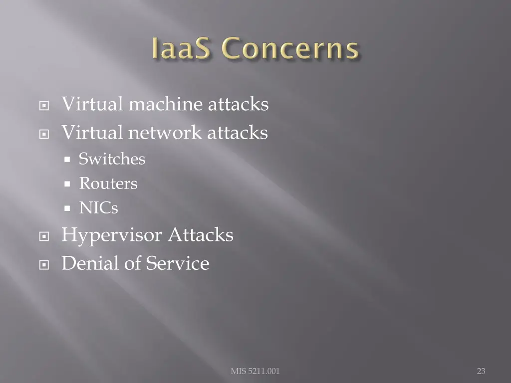 virtual machine attacks virtual network attacks