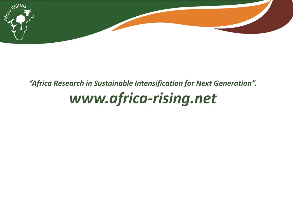 africa research in sustainable intensification