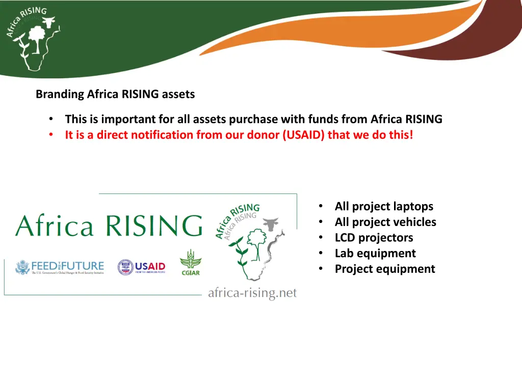 branding africa rising assets