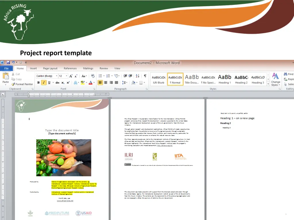 project report template