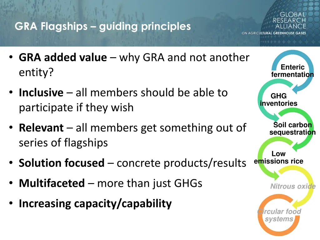 gra flagships guiding principles