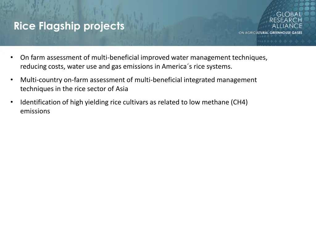 rice flagship projects