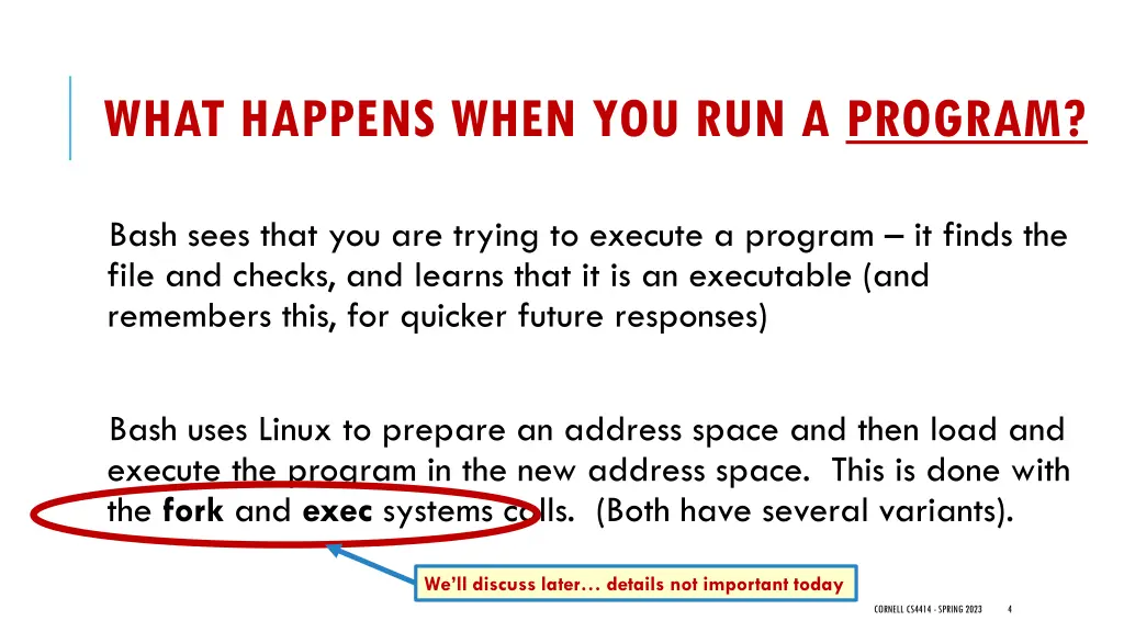 what happens when you run a program