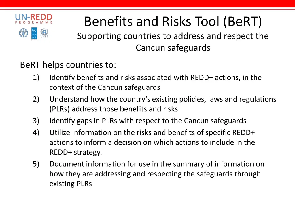 benefits and risks tool bert supporting countries 1