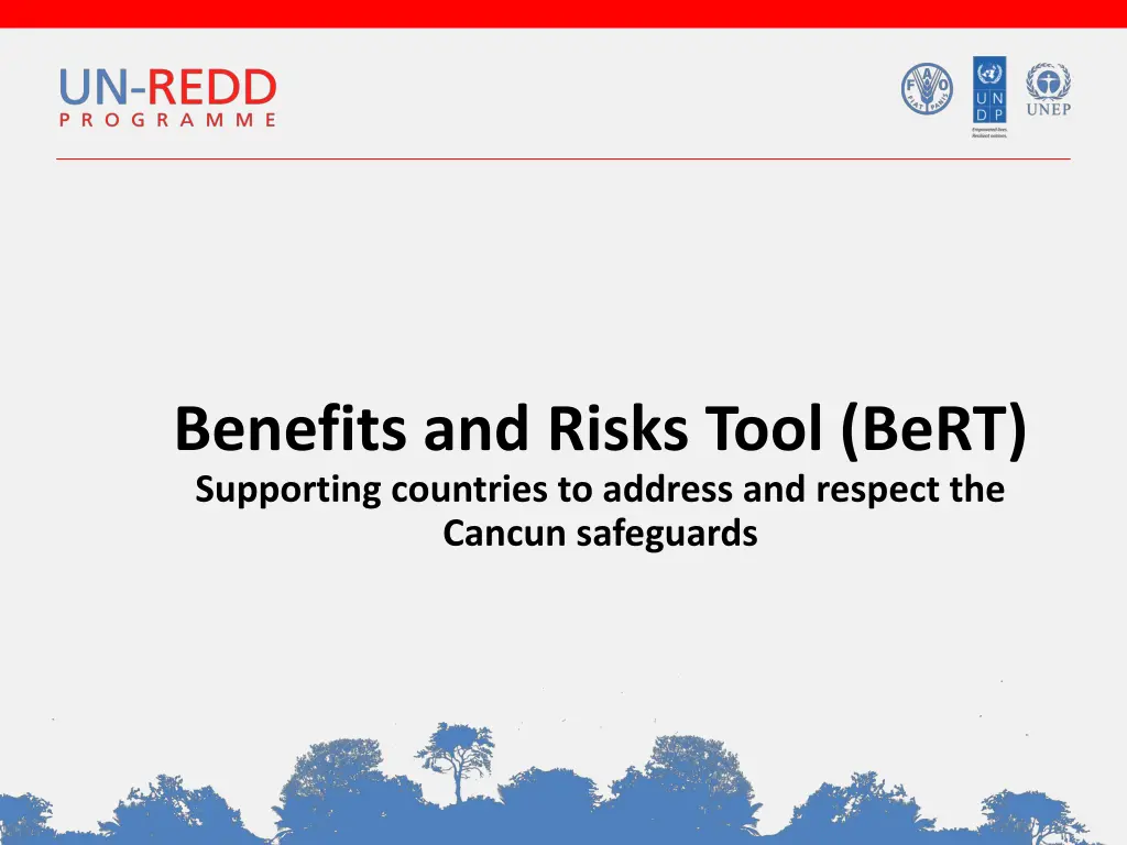 benefits and risks tool bert supporting countries