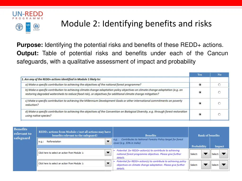 module 2 identifying benefits and risks
