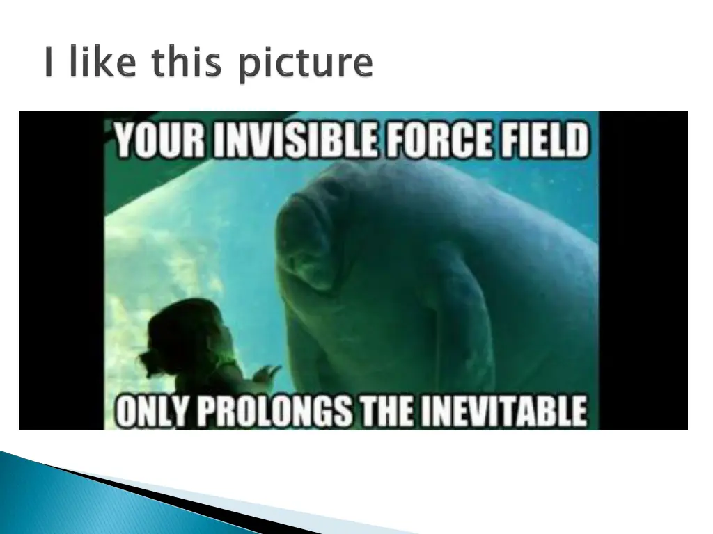 slide29