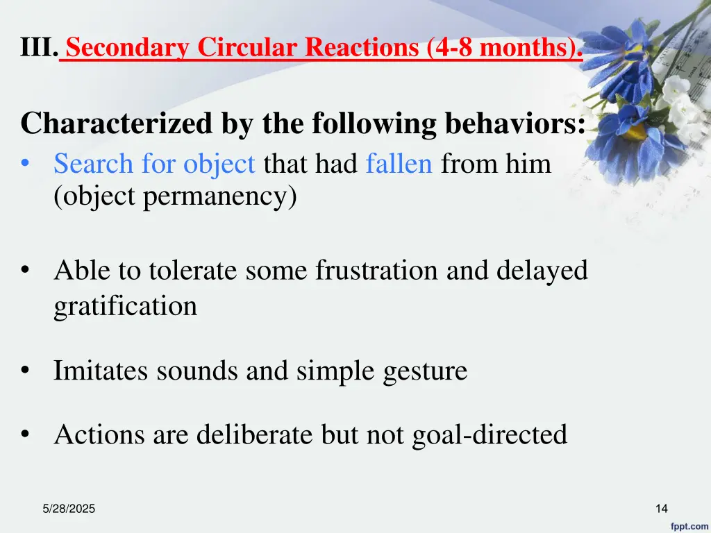 iii secondary circular reactions 4 8 months