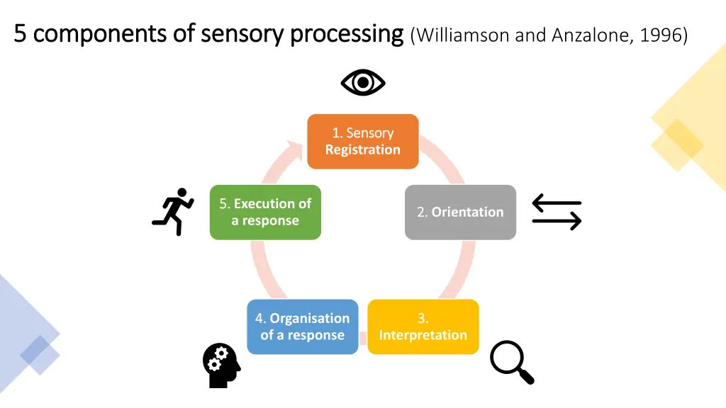 5 components of sensory 5 components of sensory