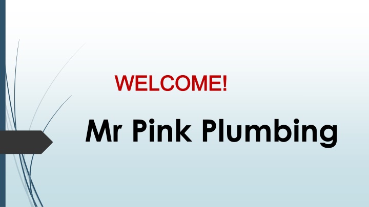 welcome welcome mr pink plumbing