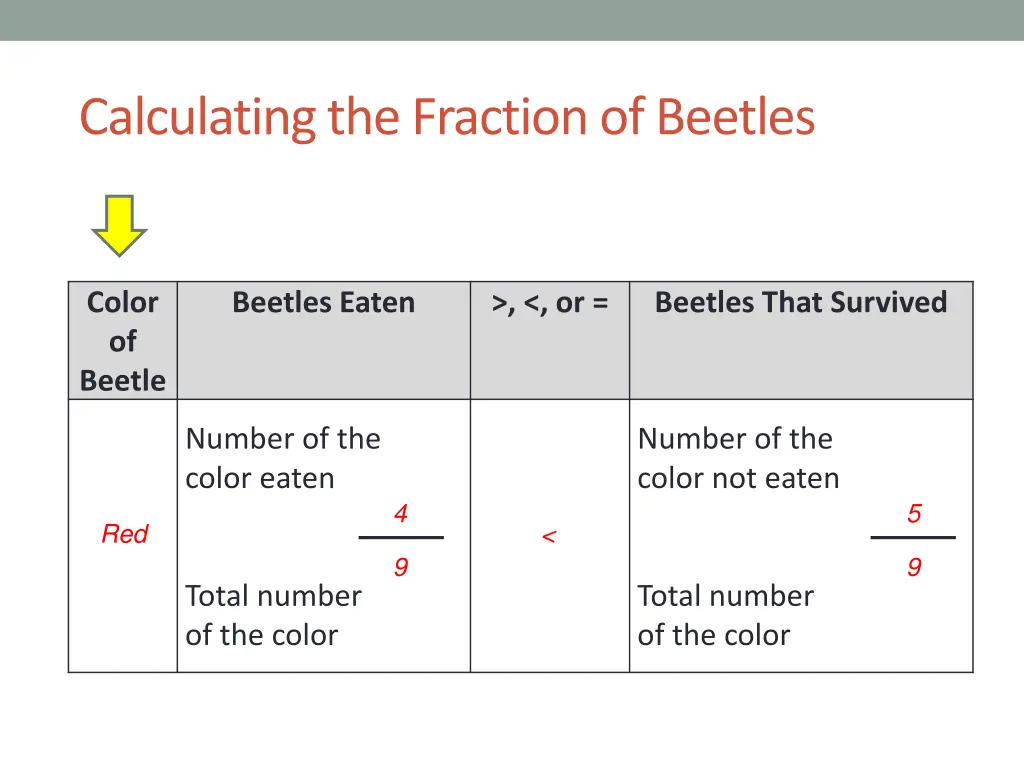 calculating the fraction of beetles