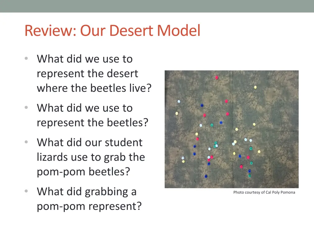 review our desert model