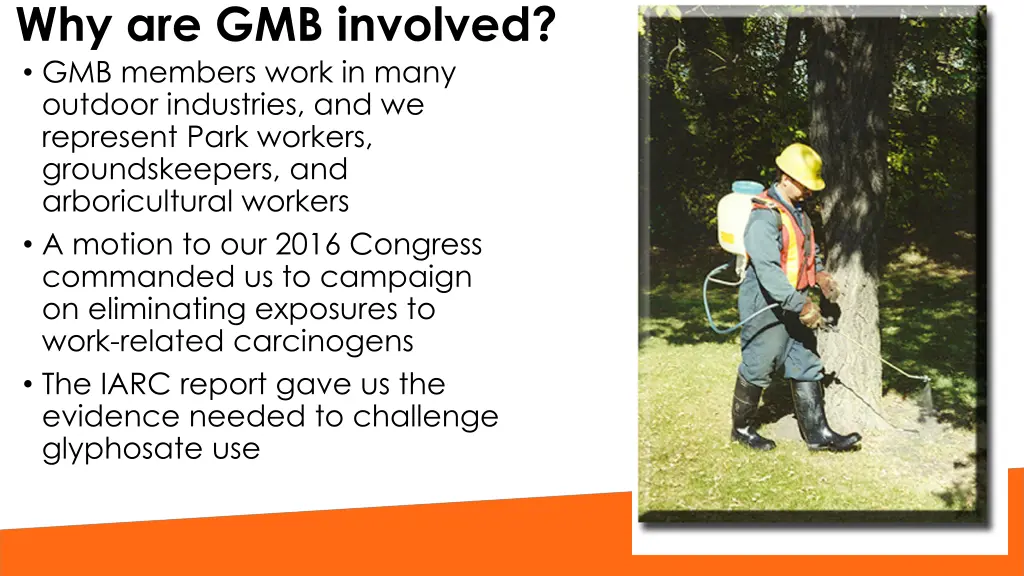 why are gmb involved gmb members work in many