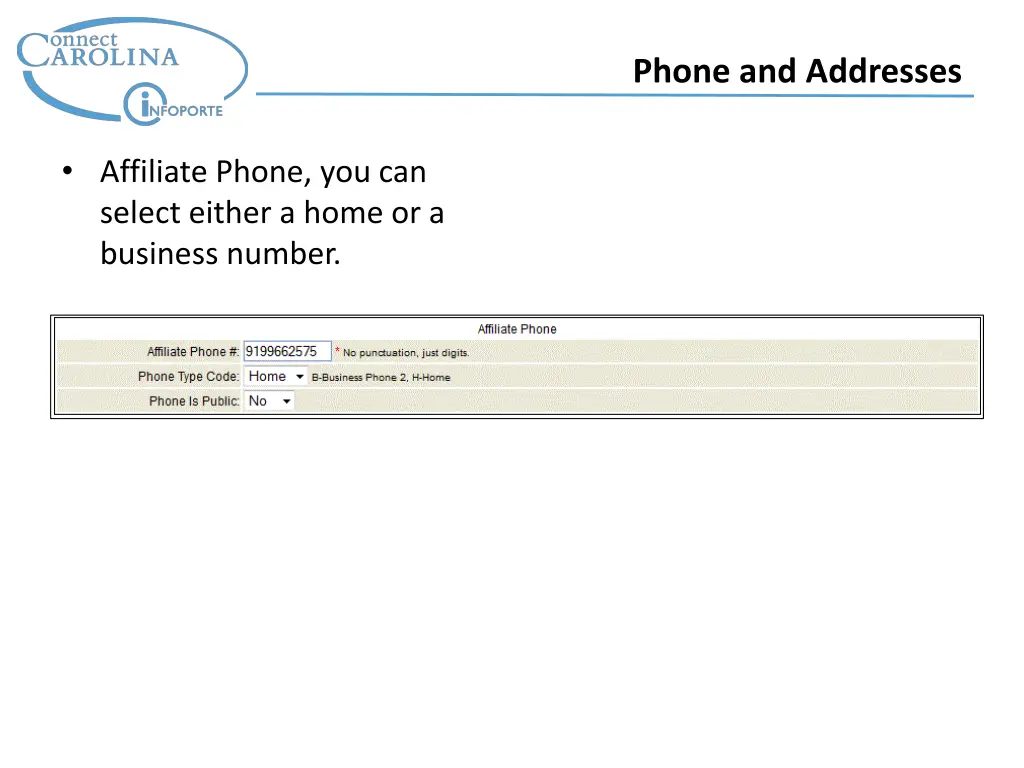 phone and addresses