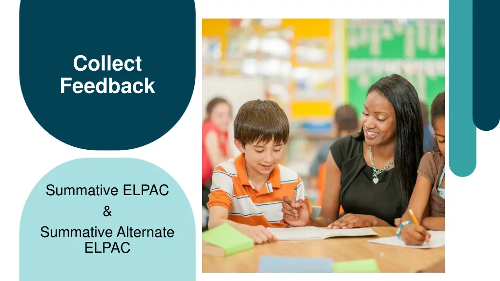 collect feedback