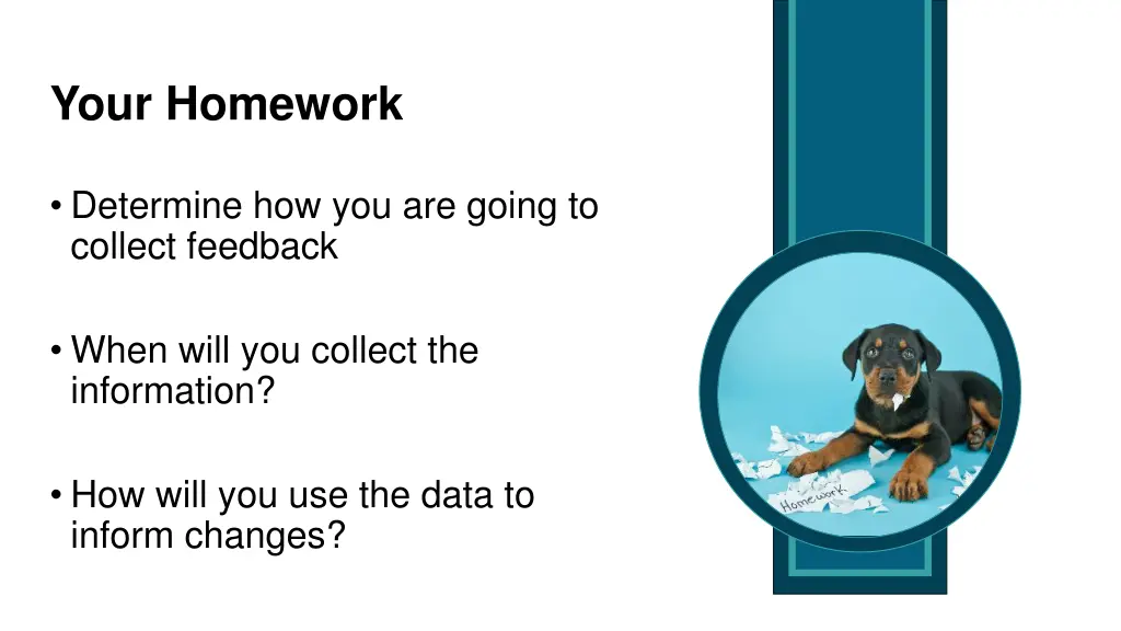 your homework